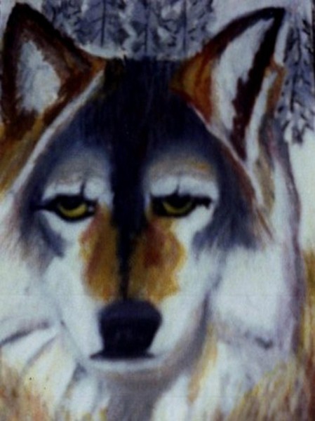 Brown wolf