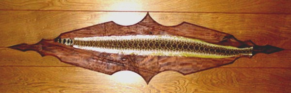 Walnut Wood Diamond Back Rattlesnake Skin Plaque