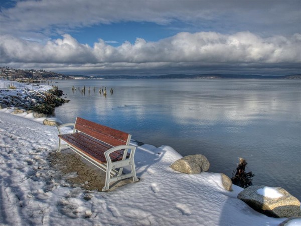 Bench