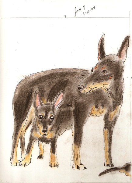 doggies4