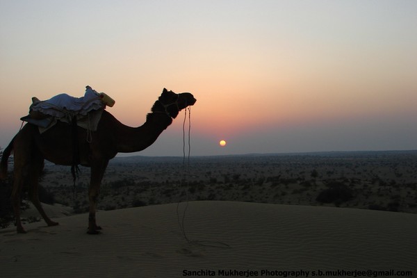 desert sunset