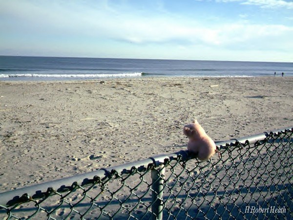 Piggy's so Close But So Far Away part3