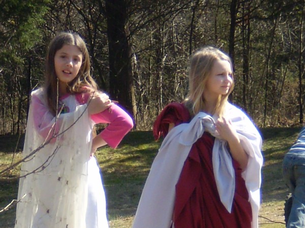Fairies in the Backyard