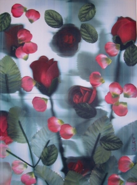 Gaio laghetto fiorito 