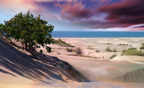 Eerie dunes in november