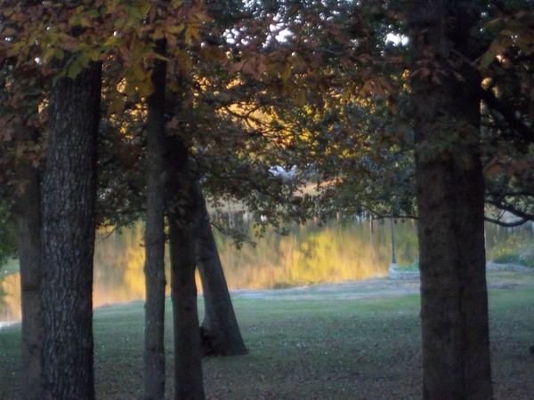 Autumn Light