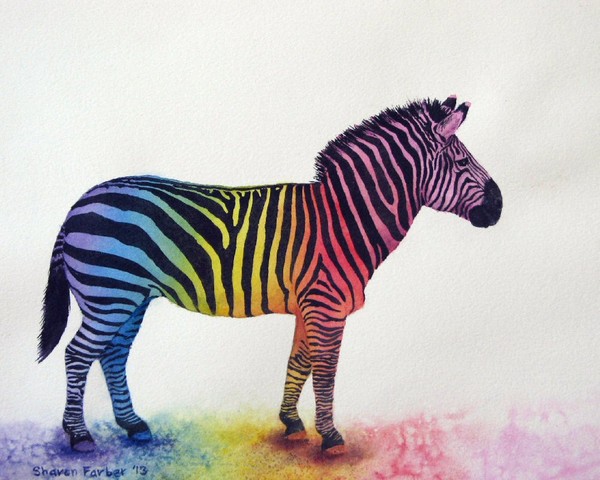 Rainbow Zebra