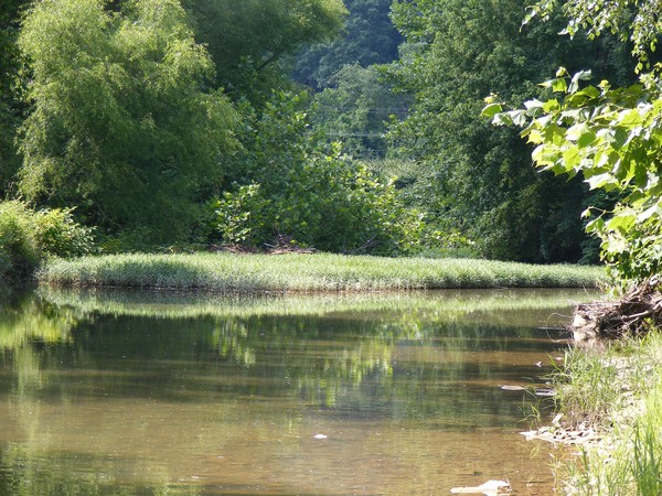 Reflections