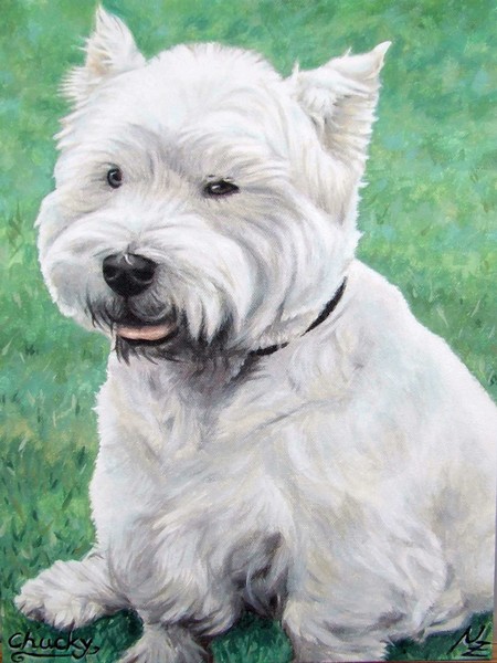 West Highland Terrier