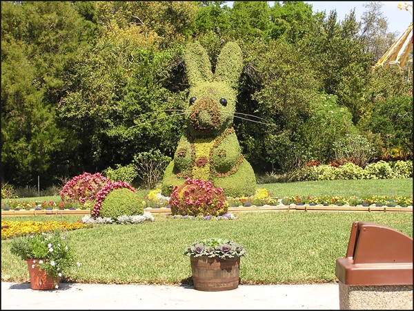 Find The Bunny