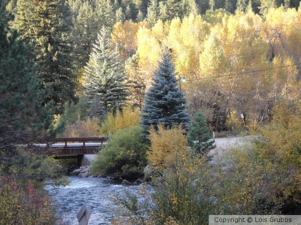 Fall Foilage Sept 2011 My camera 026