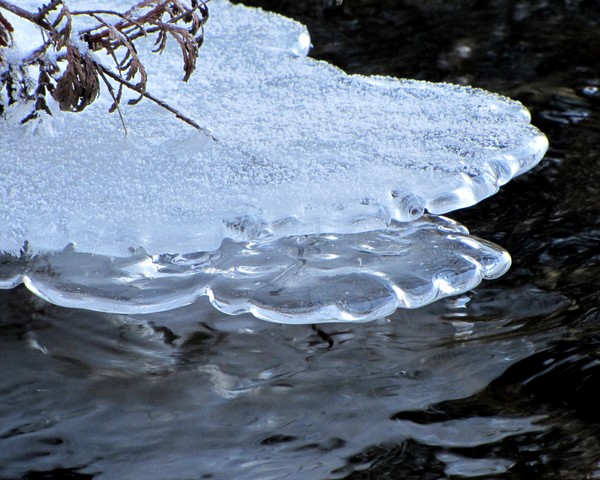 Ice Clapping!