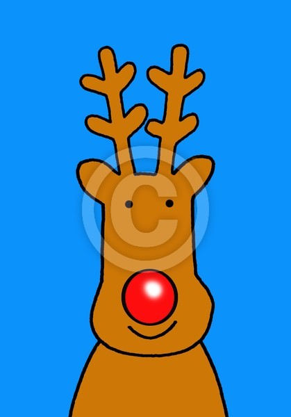 Reindeer