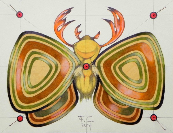 deer moth (sold).