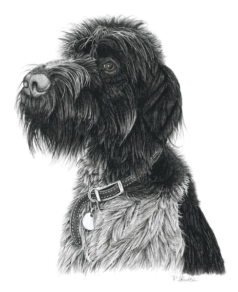 Sprocket
