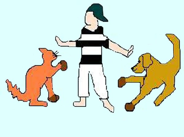 Dogs and Cats Unite