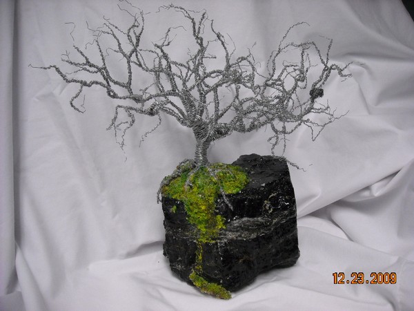 Oak tree on coal #2