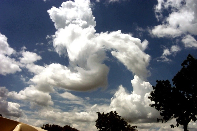Puff 2