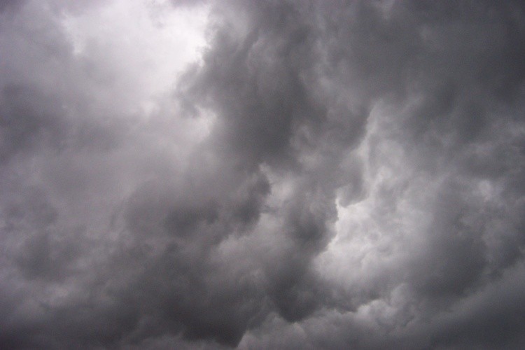 Storm Brew