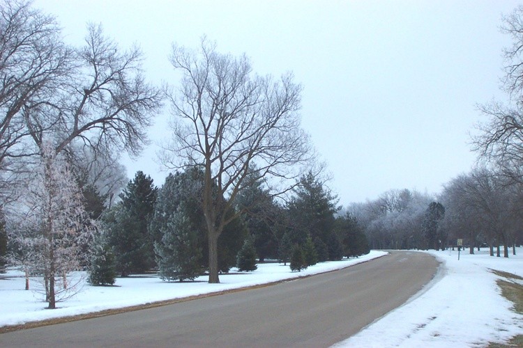 Hoar Frost 10