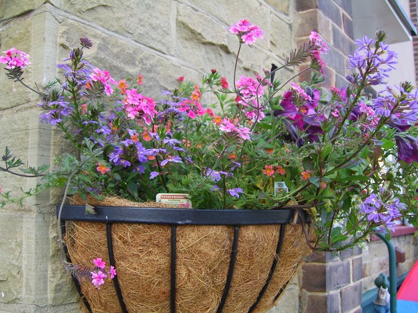 basket of flowers