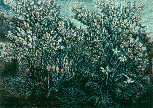 Spring evening