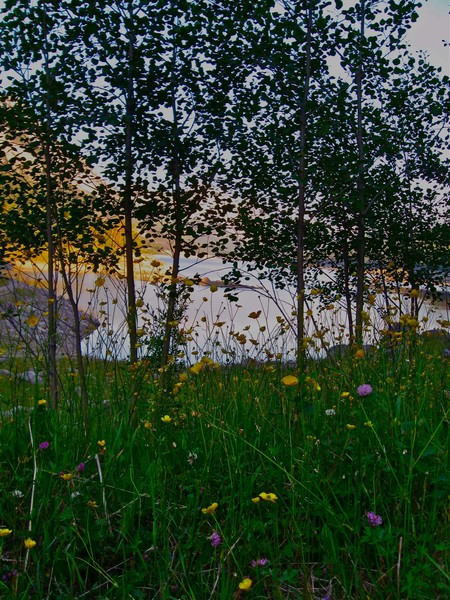Medicine Lake