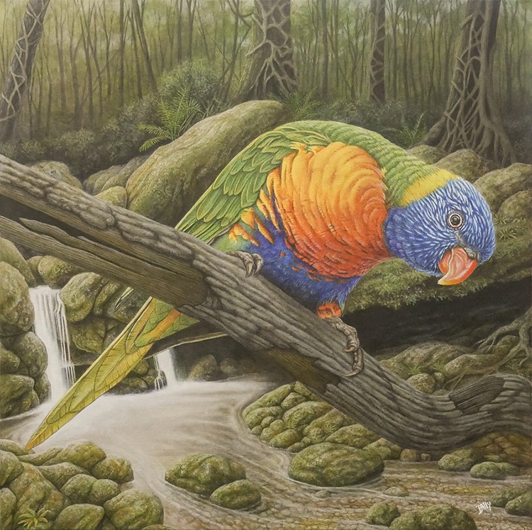 Rainbow Lorikeet
