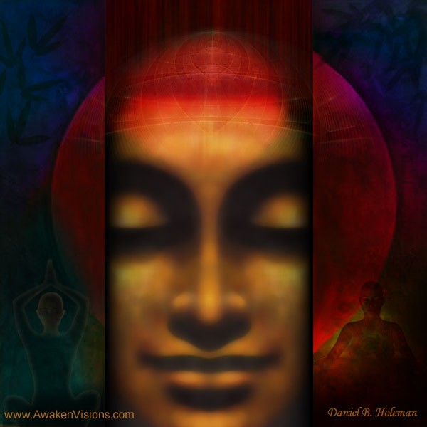 Meditate 2013