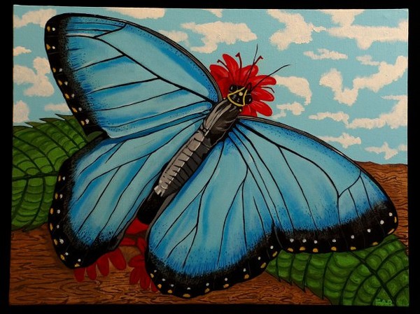 blue butterfly