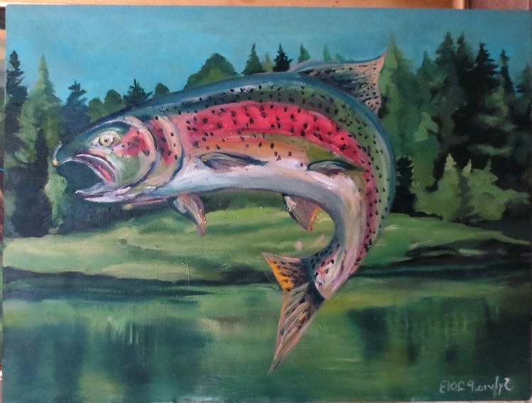 26x20i
