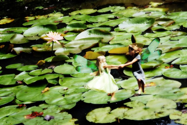 LILLY PAD FAERIES