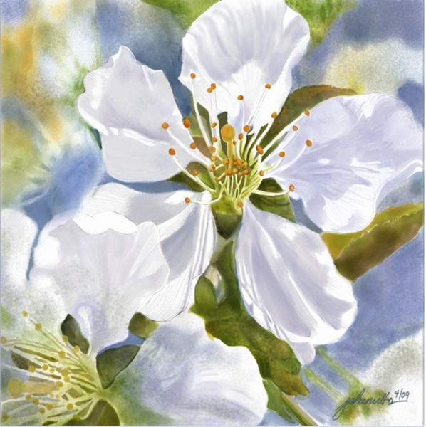 Time To Blossom