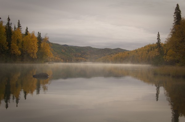 Misty Autumn