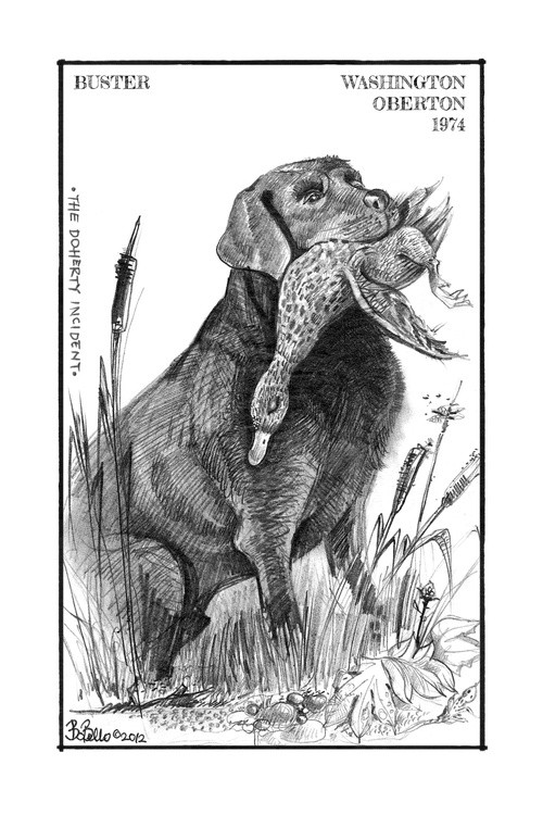 Buster Retriever