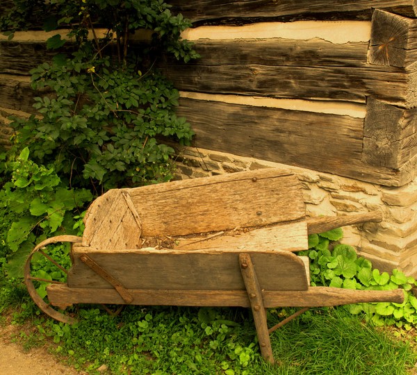 Old Wheelbarrow