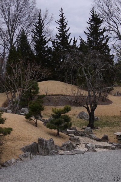 Japanese Garden