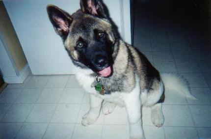 tucker