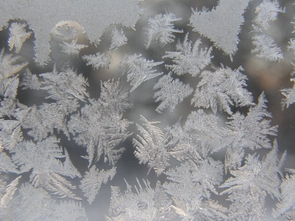 frosty mornings
