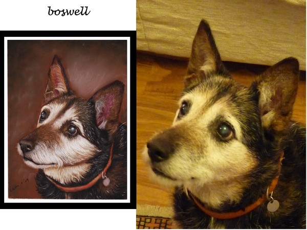 commision of german shepherd dog