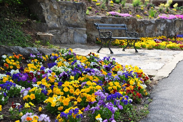 Bench