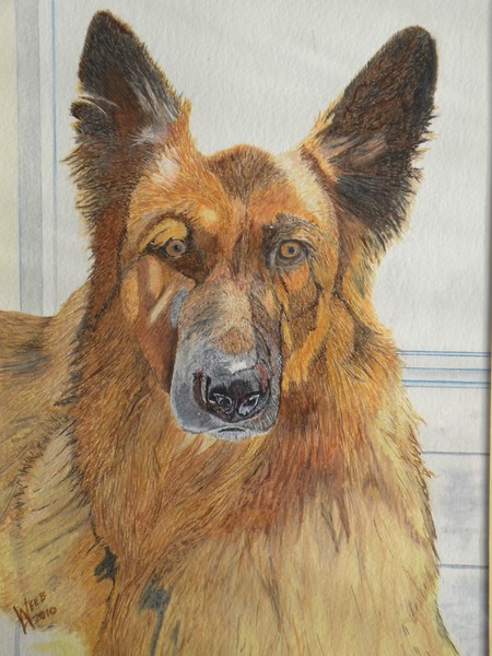 Edward the German Shepherd
