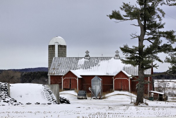 Sheldon Barn
