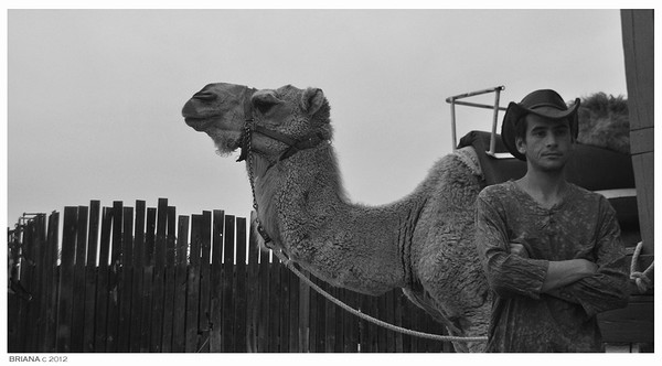 camel trainer