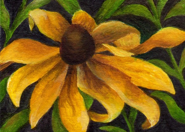 ACEO - Black-Eyed Susan