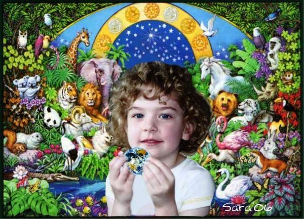 B and the Animals