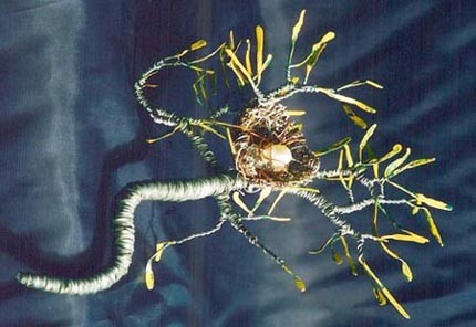 Bird Nest No.1 - Wire Sculpture, by Sal Villano