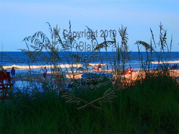 Sea Oats Beach & Atlantic Ocean