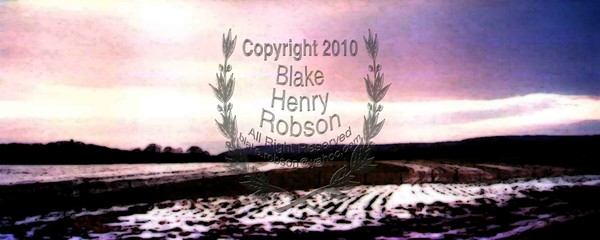 Snow Covered Fields x