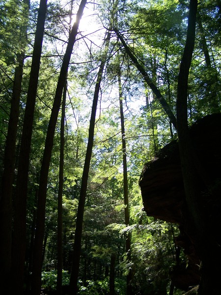 Vertical View